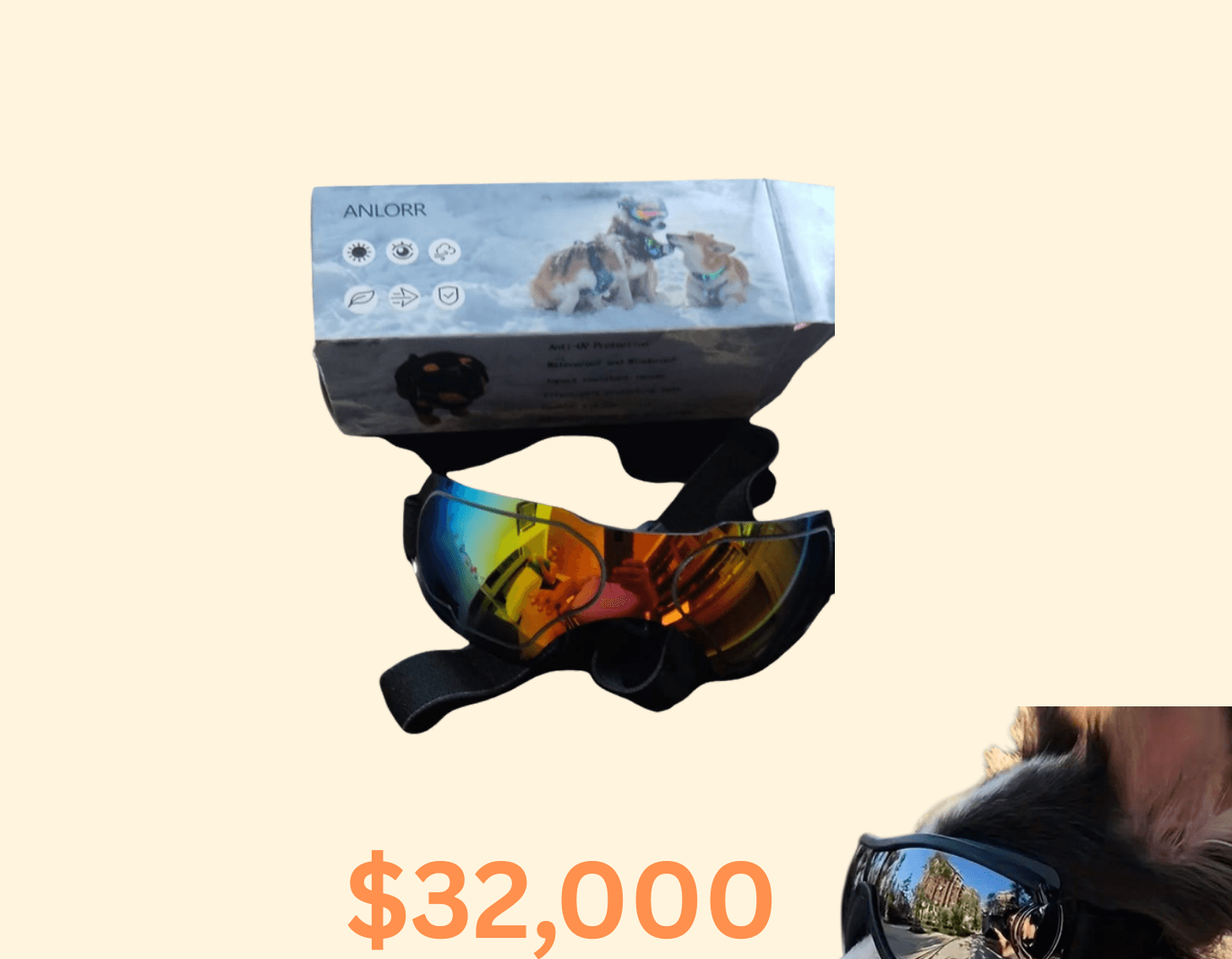 GAFAS DOGGY